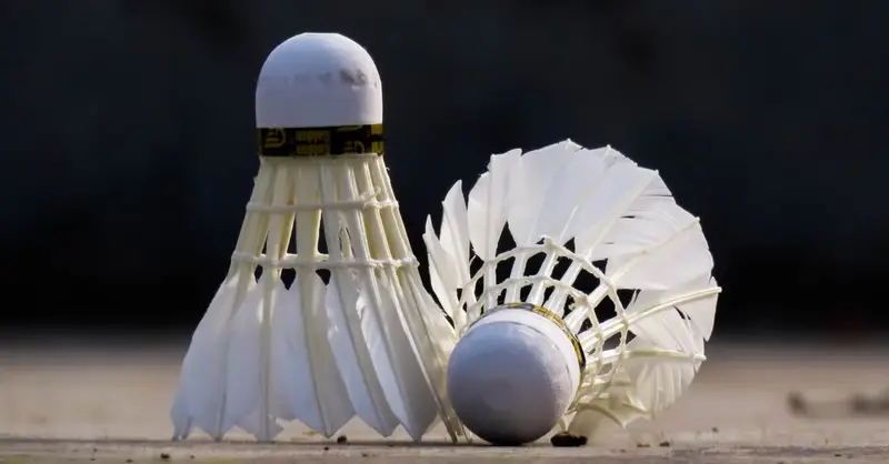Two white shuttlecocks on a badminton court. Ideal for sports-themed content.