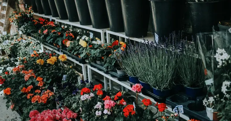 A vibrant display of flowers at an outdoor Parisian market, featuring various blooms.
