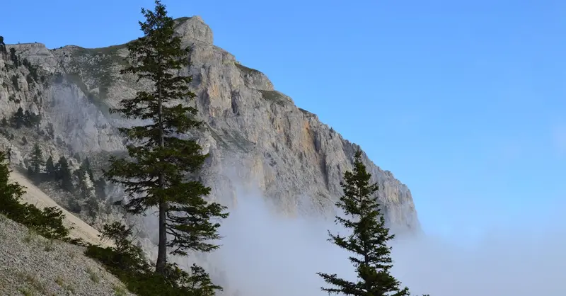 Stunning view of mountains and pine trees in Gresse-en-Vercors, France.