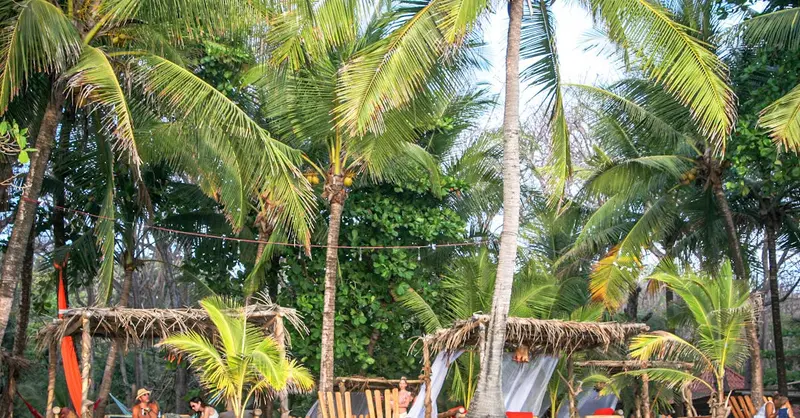 Relax under the palm trees on a scenic Costa Rican beach, perfect for a summer getaway.