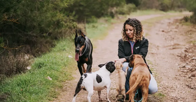 Woman interacting with dogs on a forest path during a walk.