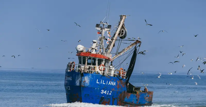 Fishing boat 'Liliana' surrounded by seagulls on the ocean near Arica, Chile, on a clear day.