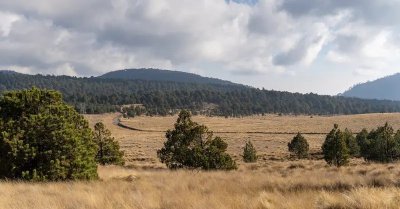 Explore the scenic beauty of Puebla, Mexico with this vibrant landscape featuring mountains and blue skies.