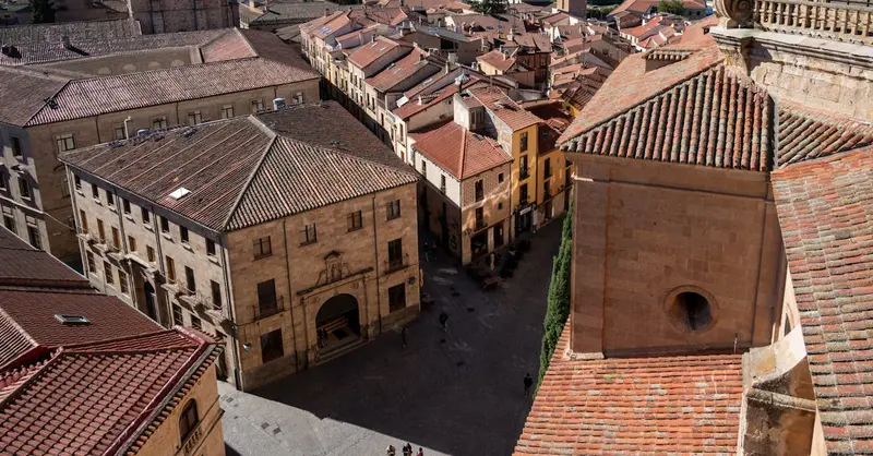 Captivating aerial view of Salamanca's historic center showcasing traditional architecture.
