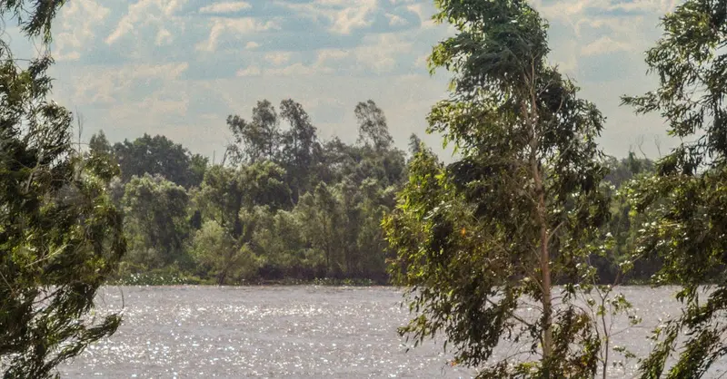Peaceful river scene with lush green trees under a partly cloudy sky in Asunción, Paraguay.