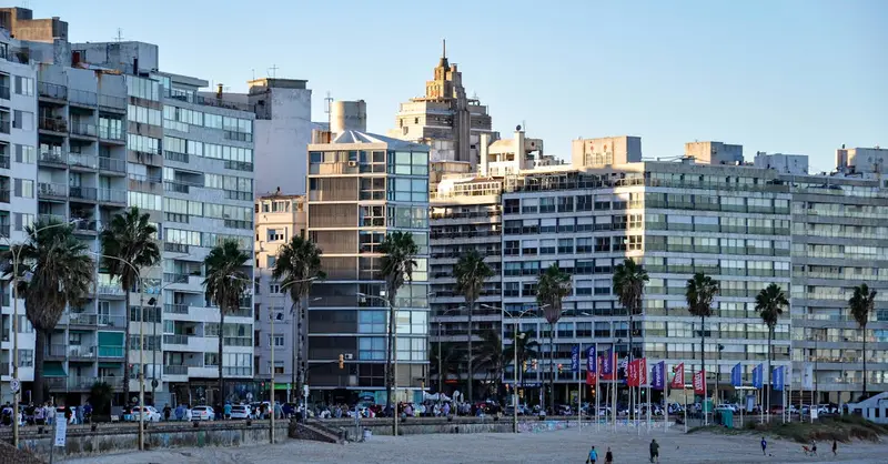 Montevidéo's beachfront with palm trees and modern architecture in the evening sun.